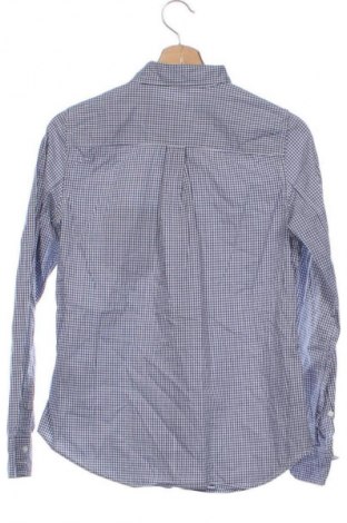 Herrenhemd Gap, Größe XS, Farbe Mehrfarbig, Preis 7,99 €