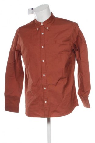Herrenhemd Next, Größe M, Farbe Braun, Preis € 41,99