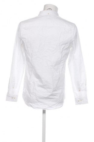 Męska koszula Next, Rozmiar S, Kolor Biały, Cena 166,99 zł