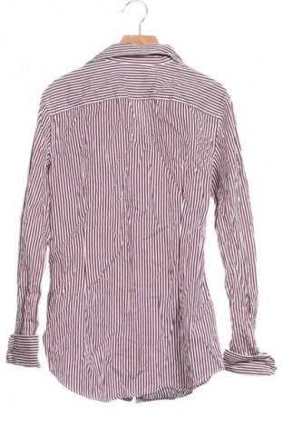 Pánska košeľa  Polo Ralph Lauren, Veľkosť XS, Farba Viacfarebná, Cena  47,95 €