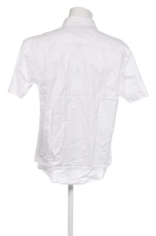 Herrenhemd Torelli, Größe L, Farbe Ecru, Preis € 8,99