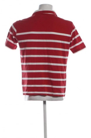 Herren T-Shirt Paul & Shark, Größe L, Farbe Mehrfarbig, Preis € 26,99