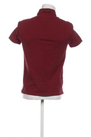 Herren T-Shirt Tommy Hilfiger, Größe M, Farbe Rot, Preis € 34,72