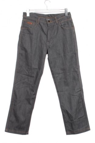 Herren Jeans Wrangler, Größe S, Farbe Grau, Preis 18,99 €