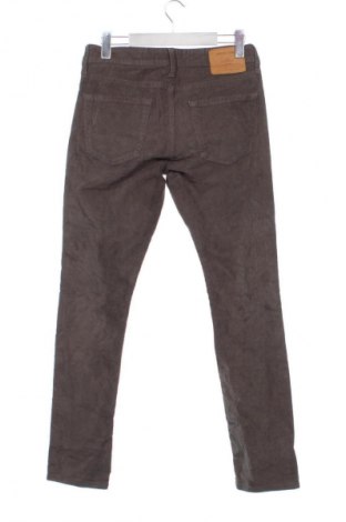Herren Cordhose Jack & Jones, Größe S, Farbe Grün, Preis € 10,99