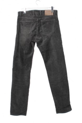 Herren Cordhose Massimo Dutti, Größe M, Farbe Grau, Preis € 18,99