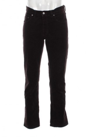 Herren Cordhose Pioneer, Größe M, Farbe Braun, Preis € 10,99