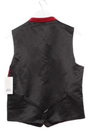 Vestă de bărbați Stockerpoint, Mărime M, Culoare Multicolor, Preț 274,99 Lei