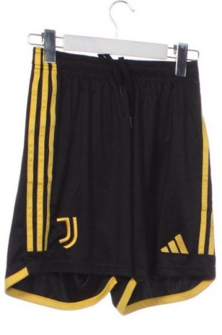 Herren Shorts Adidas, Größe XS, Farbe Mehrfarbig, Preis € 15,99