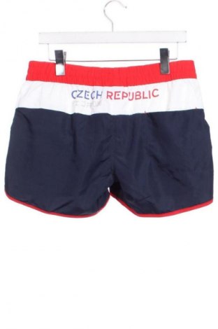 Мъжки къс панталон Alpine Pro, Размер S, Цвят Многоцветен, Цена 32,72 €