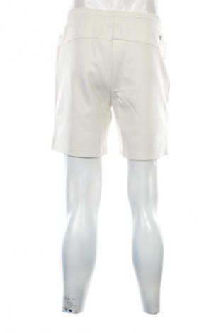 Męskie szorty Champion, Rozmiar S, Kolor Beżowy, Cena 99,99 zł