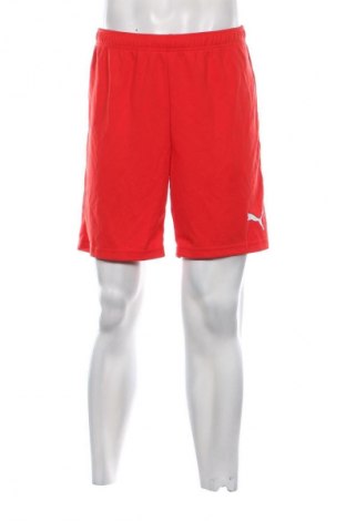 Мъжки къс панталон PUMA, Размер M, Цвят Червен, Цена 14,31 €
