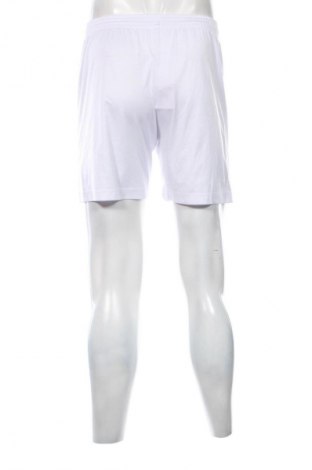 Herren Shorts Unbranded, Größe S, Farbe Mehrfarbig, Preis € 9,99