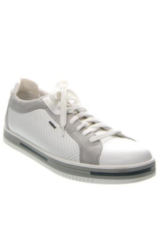 Herrenschuhe Geox, Größe 45, Farbe Mehrfarbig, Preis € 49,04