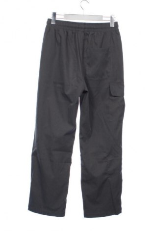 Herrenhose SHEIN, Größe S, Farbe Grau, Preis € 17,99