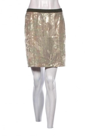 Fustă Biba, Mărime L, Culoare Multicolor, Preț 47,99 Lei