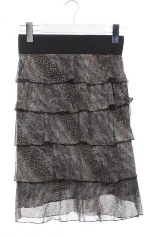 Fustă Cristina Gavioli, Mărime XS, Culoare Multicolor, Preț 61,99 Lei