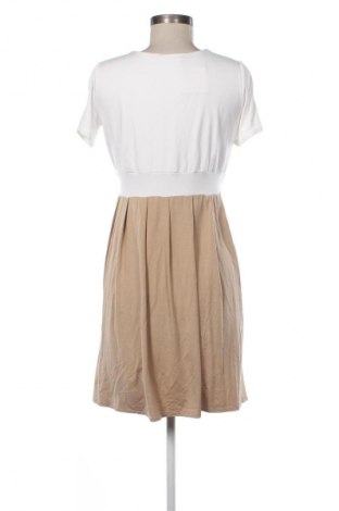 Kleid Bebefield, Größe M, Farbe Mehrfarbig, Preis € 25,00