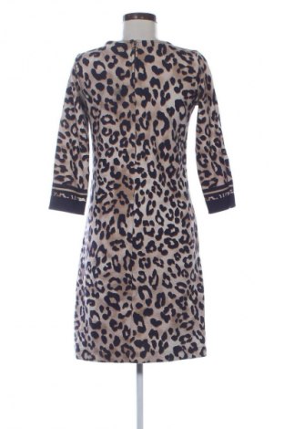 Kleid Betty & Co, Größe S, Farbe Mehrfarbig, Preis € 21,99