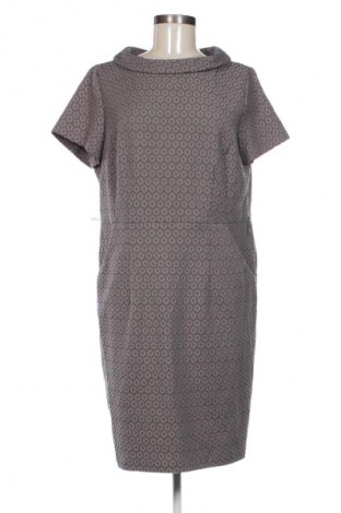 Kleid Betty Barclay, Größe XL, Farbe Mehrfarbig, Preis € 41,99