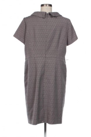 Kleid Betty Barclay, Größe XL, Farbe Mehrfarbig, Preis € 41,99