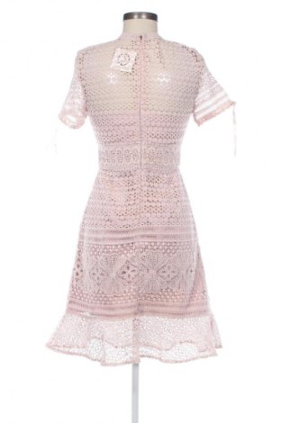 Kleid Chi Chi, Größe S, Farbe Rosa, Preis € 20,99
