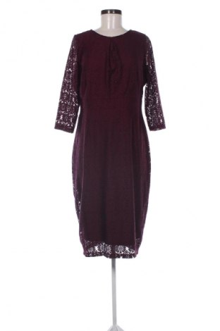 Šaty  Dorothy Perkins, Velikost XL, Barva Fialová, Cena  597,00 Kč