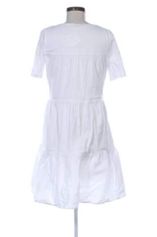 Kleid Esprit, Größe M, Farbe Weiß, Preis € 24,45