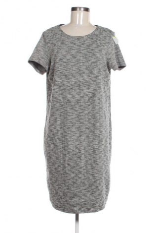 Kleid Esprit, Größe L, Farbe Mehrfarbig, Preis € 24,55