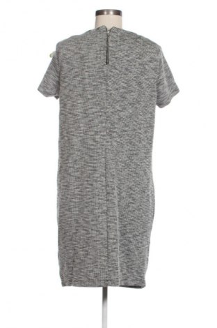 Kleid Esprit, Größe L, Farbe Mehrfarbig, Preis € 24,55