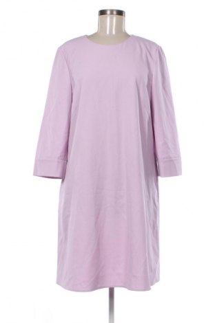 Sukienka Luisa Cerano, Rozmiar XL, Kolor Fioletowy, Cena 100,99 zł