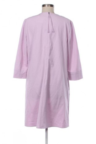 Sukienka Luisa Cerano, Rozmiar XL, Kolor Fioletowy, Cena 100,99 zł