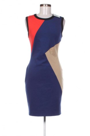 Šaty  Rachel Roy, Veľkosť M, Farba Viacfarebná, Cena  66,00 €