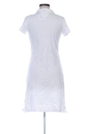 Ruha Tommy Hilfiger, Méret XL, Szín Sokszínű, Ár 14 236 Ft