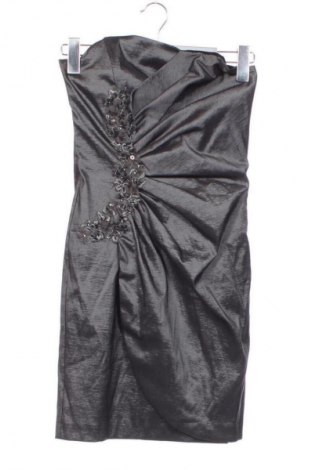 Kleid Xscape, Größe XS, Farbe Grau, Preis € 14,99