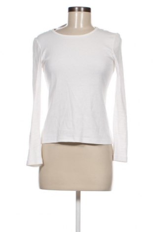 Γυναικεία μπλούζα Montego, Μέγεθος XS, Χρώμα Λευκό, Βαμβάκι, Τιμή 18,80 €