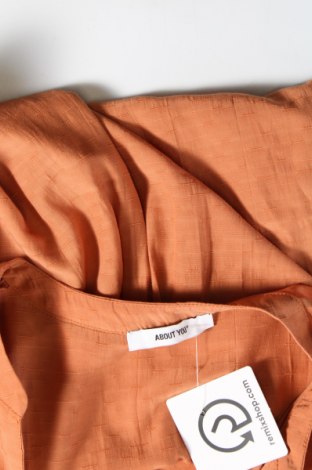 Damen Shirt About You, Größe S, Farbe Orange, Preis € 10,44