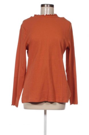 Γυναικεία μπλούζα Anna Field, Μέγεθος XXL, Χρώμα Πορτοκαλί, Τιμή 6,07 €