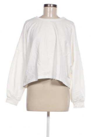 Damen Shirt Answear, Größe S, Farbe Weiß, Preis € 12,30