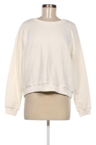 Damen Shirt Answear, Größe L, Farbe Ecru, Preis € 15,98