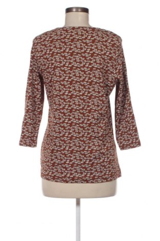 Damen Shirt Bexleys, Größe M, Farbe Mehrfarbig, Preis € 2,51