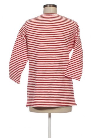 Γυναικεία μπλούζα Bexleys, Μέγεθος S, Χρώμα Πολύχρωμο, Τιμή 3,12 €