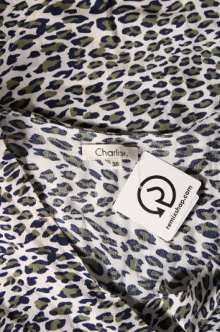 Γυναικεία μπλούζα Charlise, Μέγεθος S, Χρώμα Πολύχρωμο, Τιμή 1,85 €