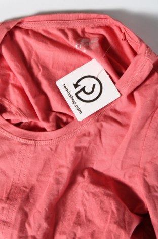 Γυναικεία μπλούζα Crane, Μέγεθος XS, Χρώμα Πορτοκαλί, Τιμή 2,47 €
