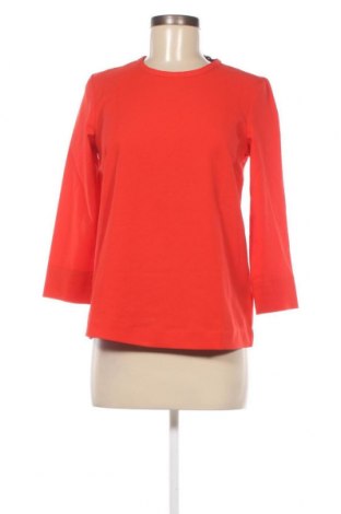 Damen Shirt Esmara, Größe S, Farbe Orange, Preis € 2,51