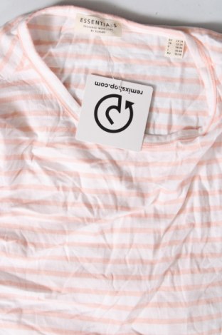 Γυναικεία μπλούζα Essentials by Tchibo, Μέγεθος XS, Χρώμα Πολύχρωμο, Τιμή 2,35 €
