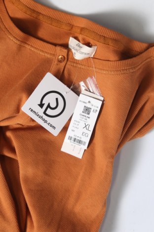 Γυναικεία μπλούζα Etam, Μέγεθος XL, Χρώμα Πορτοκαλί, Τιμή 37,11 €