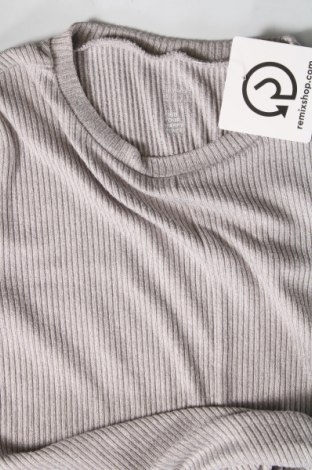 Damen Shirt Gilly Hicks, Größe XS, Farbe Grau, Preis 9,72 €