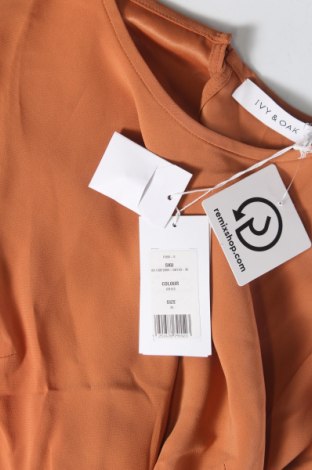 Γυναικεία μπλούζα Ivy & Oak, Μέγεθος S, Χρώμα Πορτοκαλί, Τιμή 30,93 €