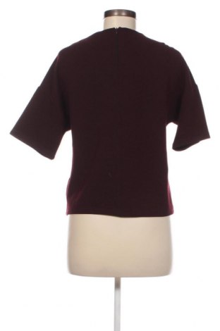 Γυναικεία μπλούζα Ltb, Μέγεθος S, Χρώμα Βιολετί, Τιμή 3,42 €